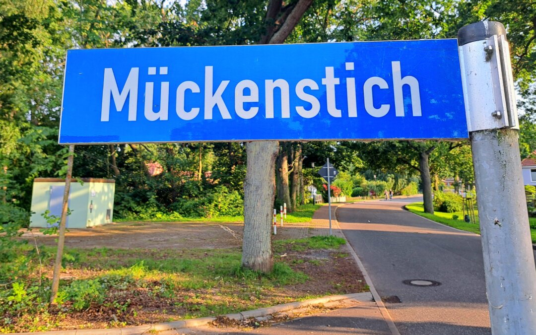 Erwähnte ich die Mücken?