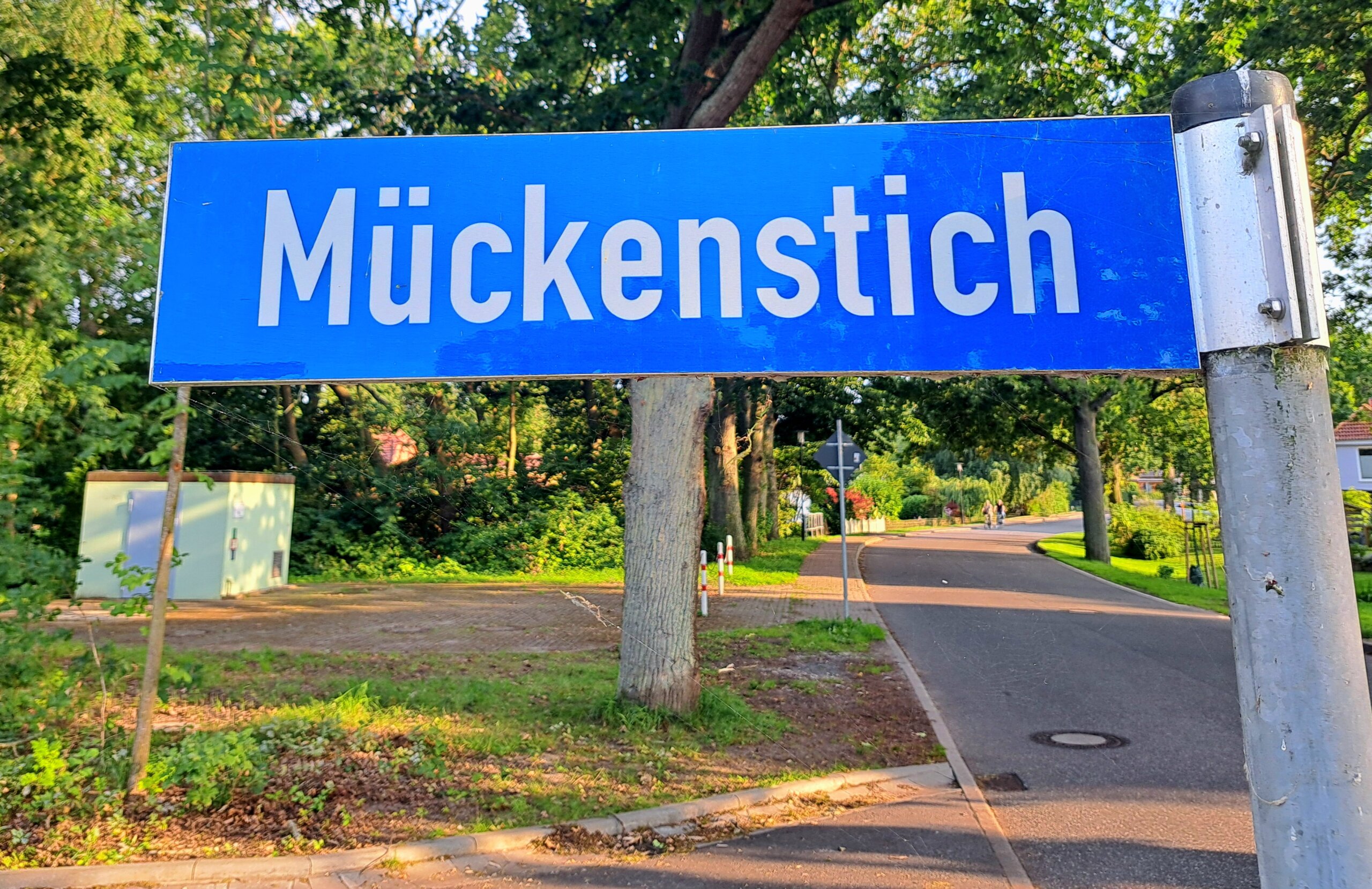 Erwähnte ich die Mücken?
