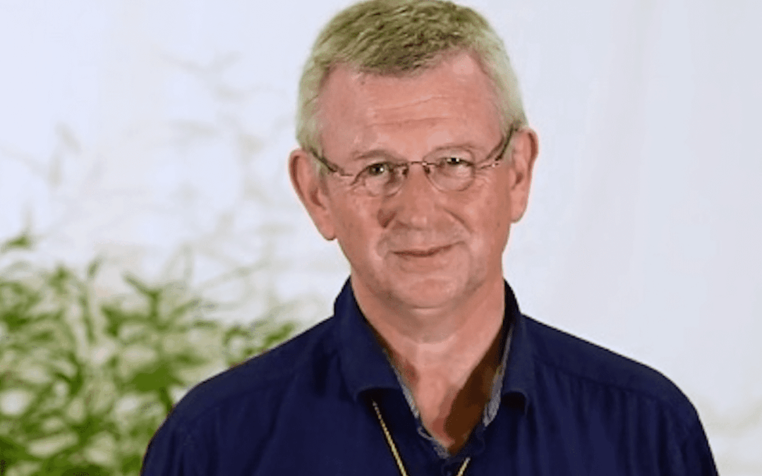 Warmes Licht in dunkler Zeit